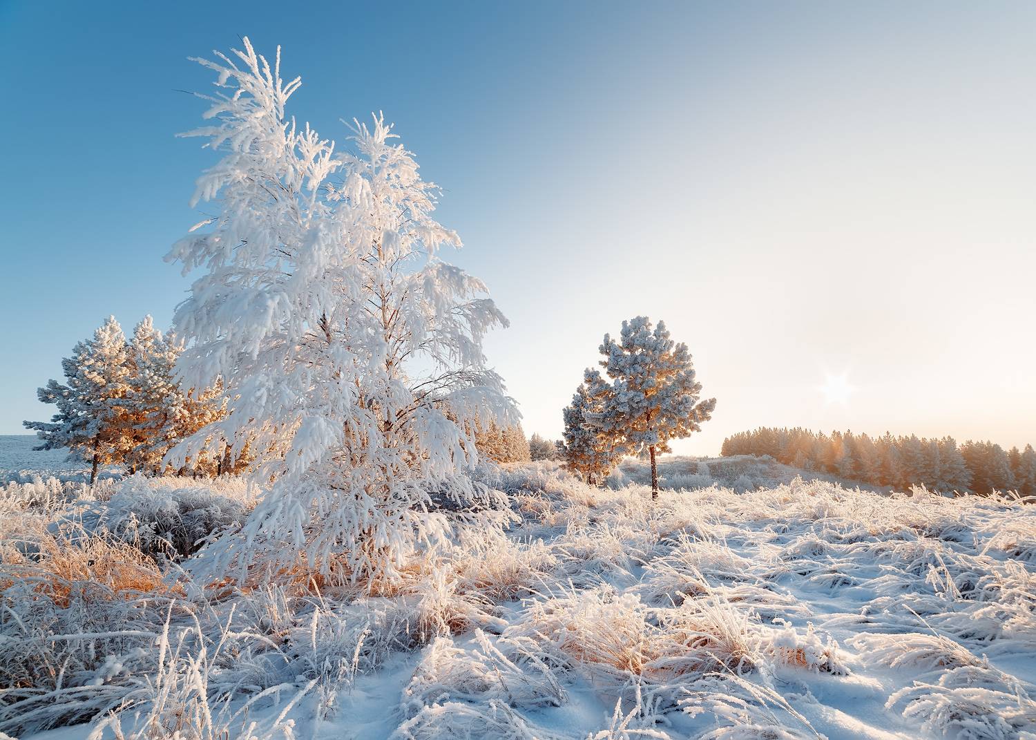 Автор: Никитин Алексей , Никитин Алексей