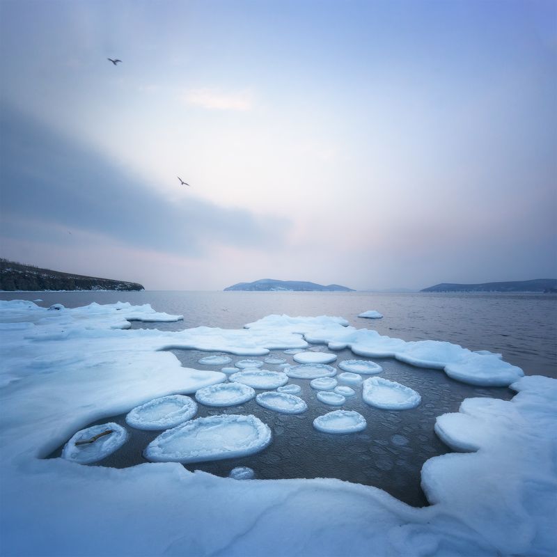 Сумерки…, Приморье…, январь 2023photo preview