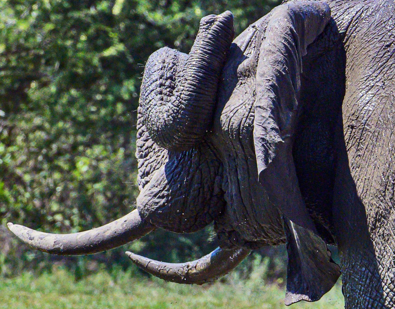 , Гордонов Юрий