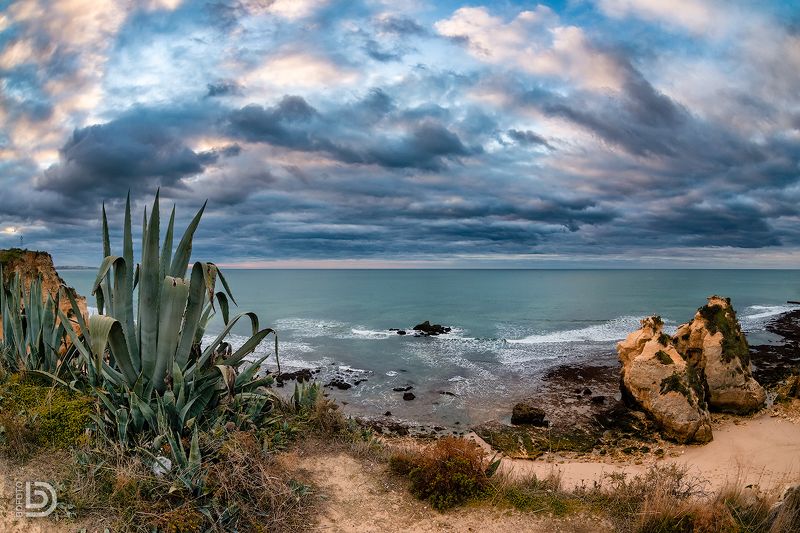 рассвет, океан, португалия, portugal Агава фото превью