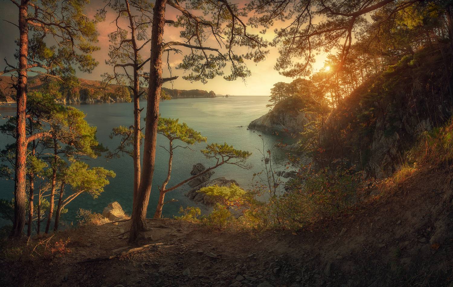 панорама, море, сосны, осень, скалы, Андрей Кровлин