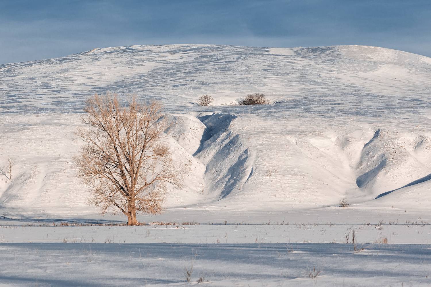 Автор: Никитин Алексей , Никитин Алексей