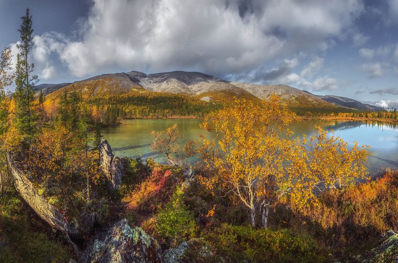 осень в Хибинахphoto preview