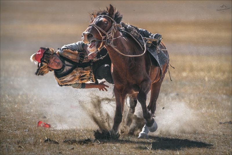 монголия, фототур в монголию, golden eagle festival, кочевники, golden eagle, беркут, беркутчи, фототур на алтай и в монголию, кумис алу, тенге алу, тенге илу, теңге ілу На драйвеphoto preview