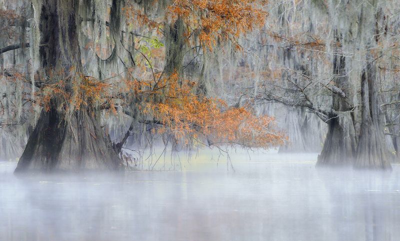 primordial sceneryphoto preview