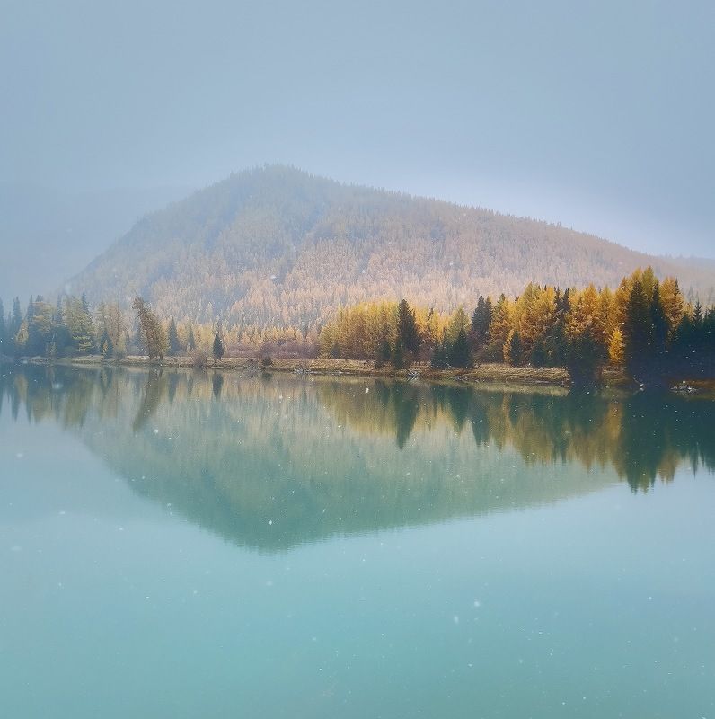 Первые снежинки. Горный Алтайphoto preview