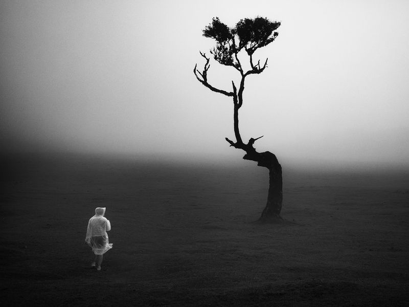 Stay groundedphoto preview