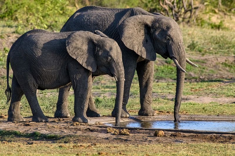 Насосыphoto preview