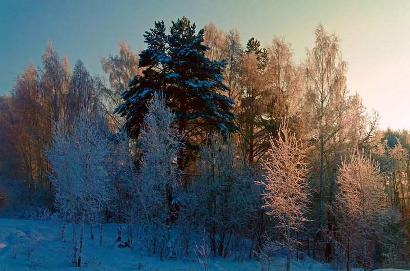 nevant60, пейзаж, красота, природа Зимний рассветphoto preview