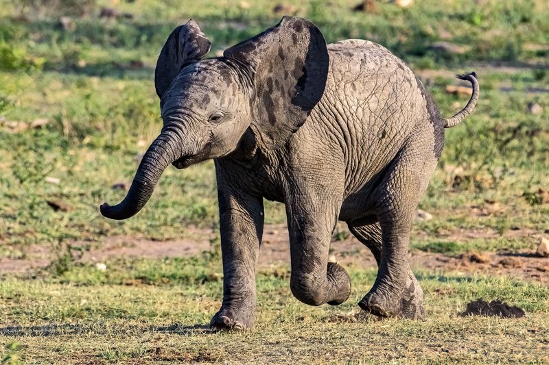 Мама, я умею летать!photo preview