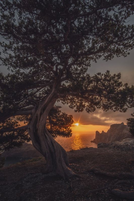 Мыс Капчикphoto preview