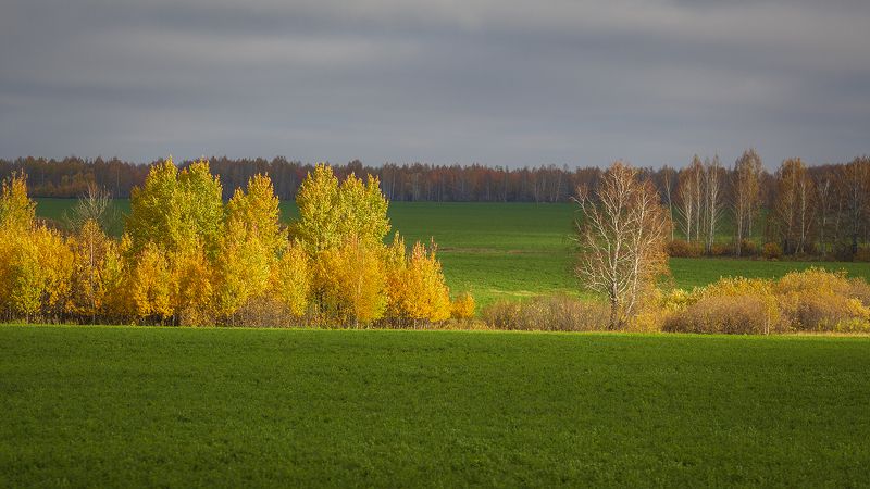 осень, цвет, свет, Сочная осень.photo preview