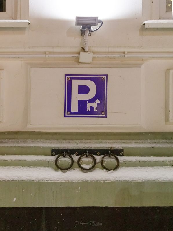 Зеленоградск, парковка, собаки, Россия, улица, фотография,позитив, зоо, Свирин Вадим, стрит, 2022 «Парковка для собак»photo preview