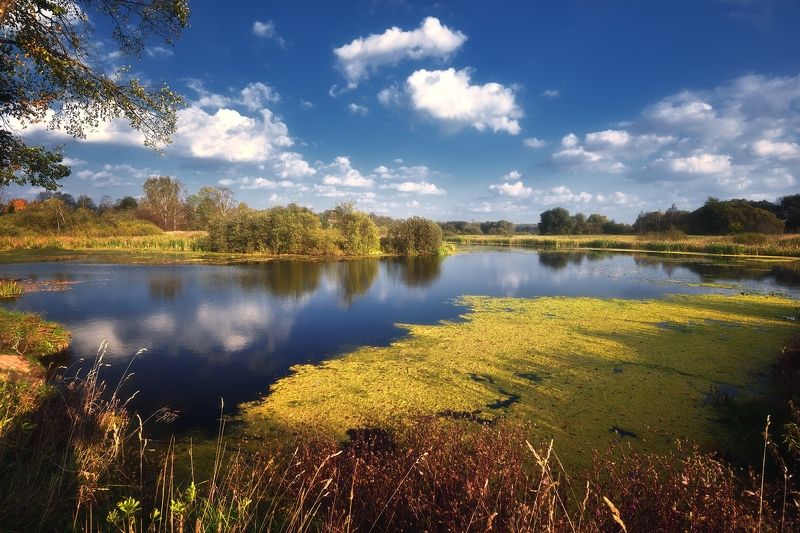 В начале осени...photo preview