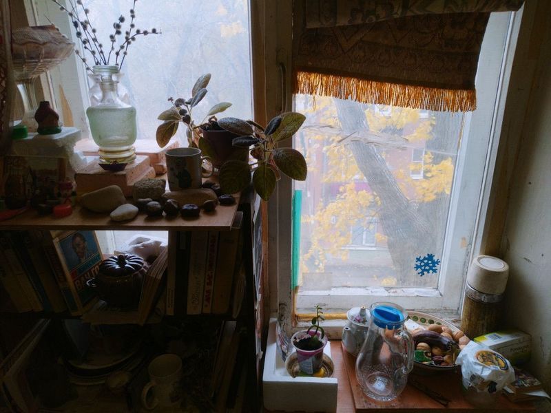 осень,натюрморт,  Осень в комнате моейphoto preview