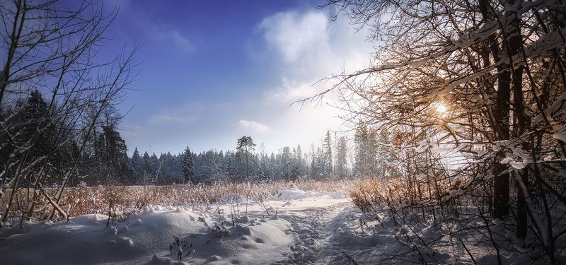 природный, резерват Мороз и солнце...photo preview