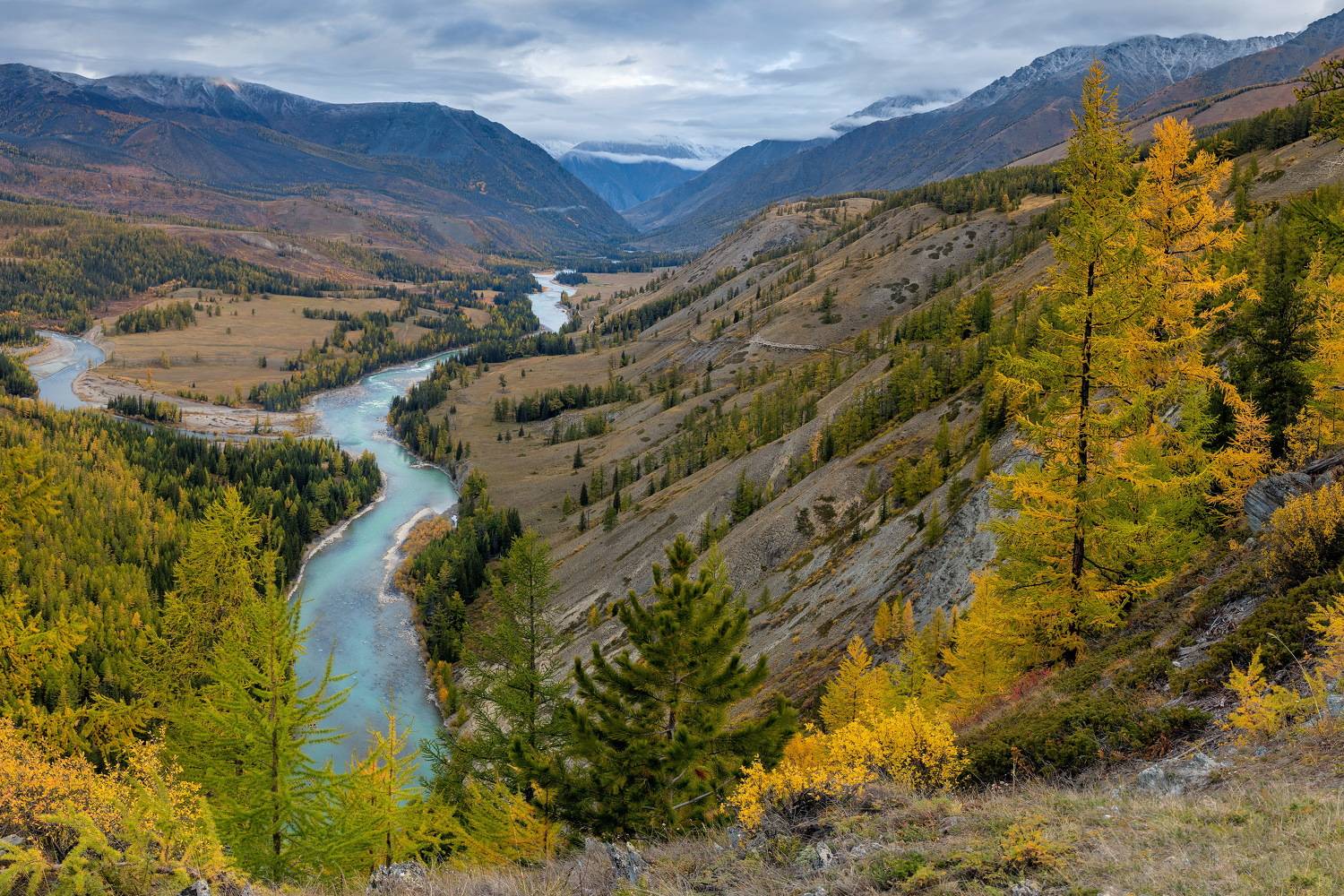 river, altay, russia, алтай, горы, Михаил Конарев