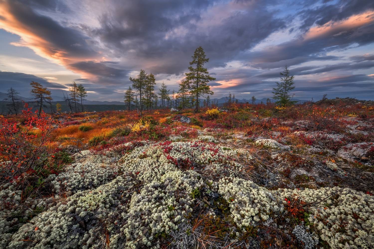 Колымская.... Автор: Максим Евдокимов , Максим Евдокимов