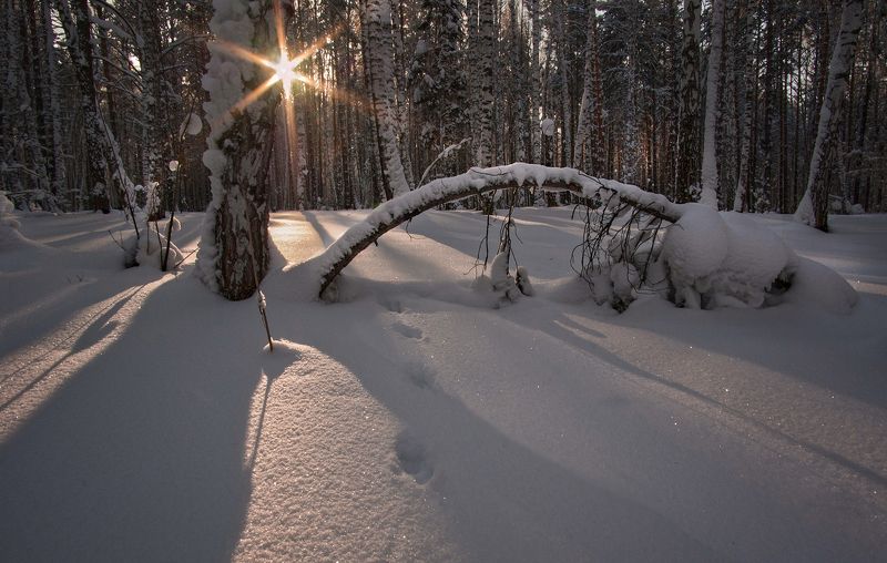 сибирь, зима, снег, след, иней, сугробы К светуphoto preview