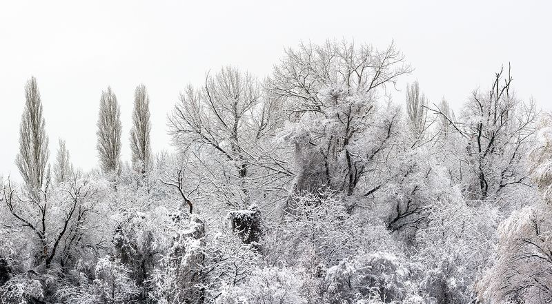 Снежна Приказка в Софияphoto preview