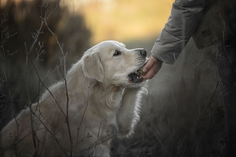 Что там у вас? фото превью