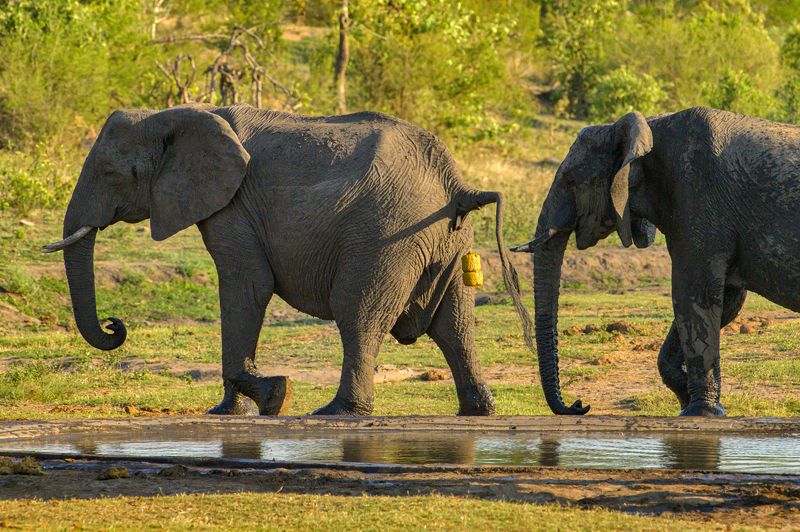 Извини брат, не удержалсяphoto preview