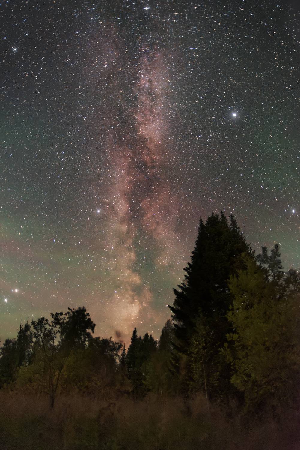 ночь, сибирь, звездное небо, млечный путь, тайга, night, nightphotography, stars, milkyway, longexposure, Кудашкина Ксения