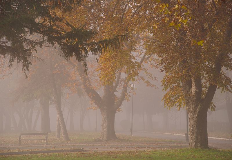 landscape, nature  фото превью