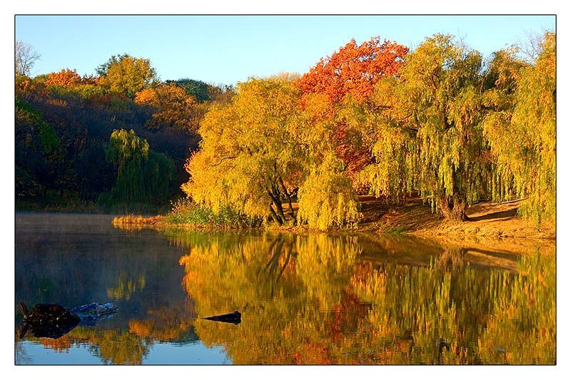 Акварель осениphoto preview