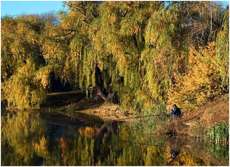 Гармонияphoto preview