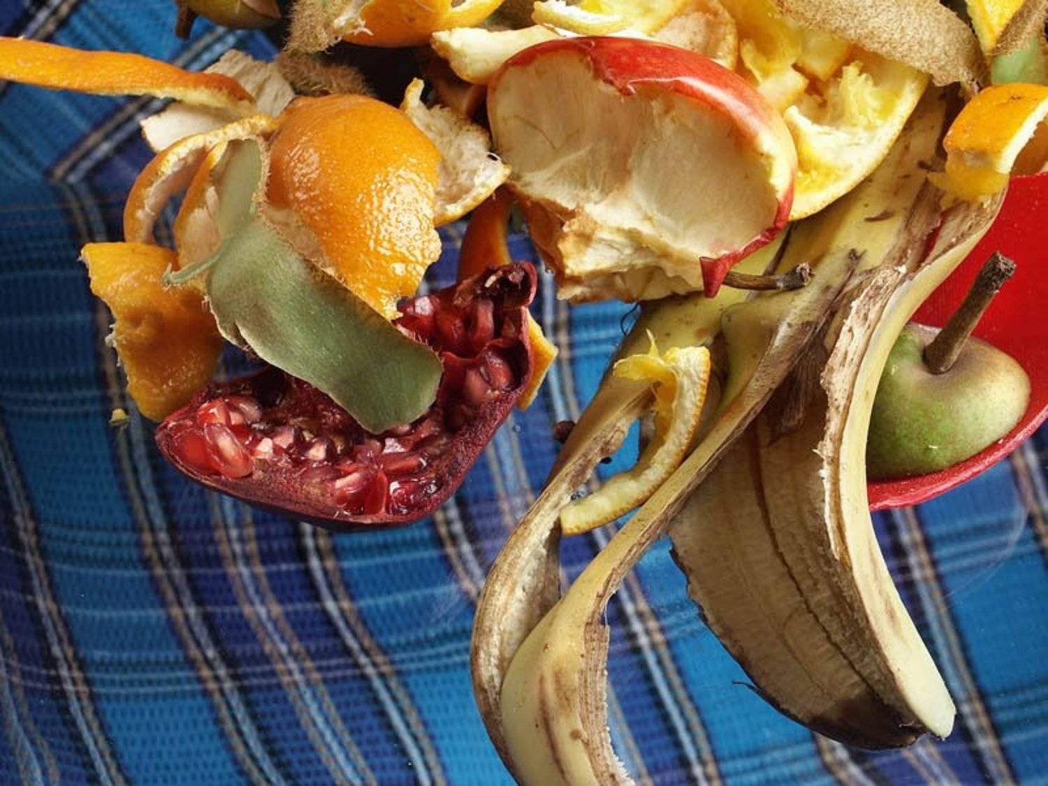 , Андрей Коченков