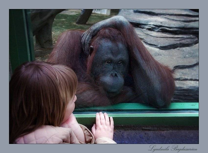 , Lyudmila Bagdassarian