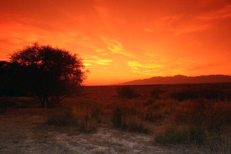 казахстан алтын емель Закат горящего закатаphoto preview