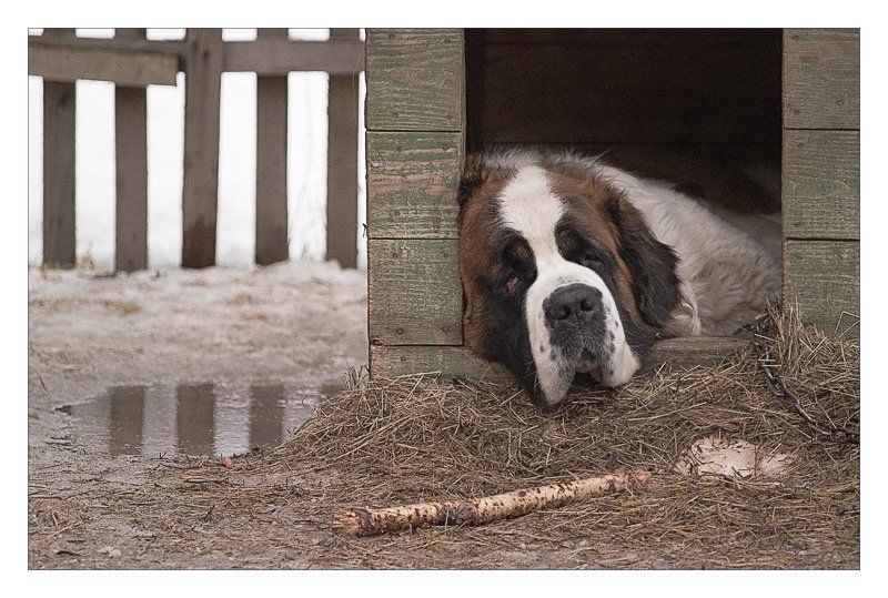 Такая работа...photo preview