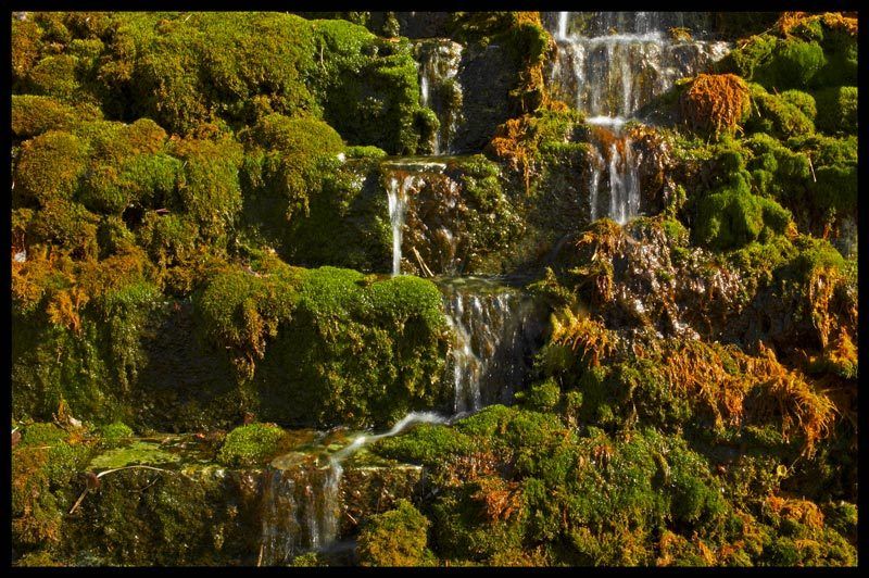 Reindeer Moss Waterfall #2photo preview