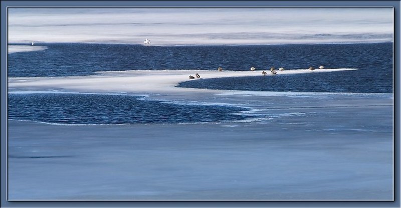 апрель Апрель (1)photo preview