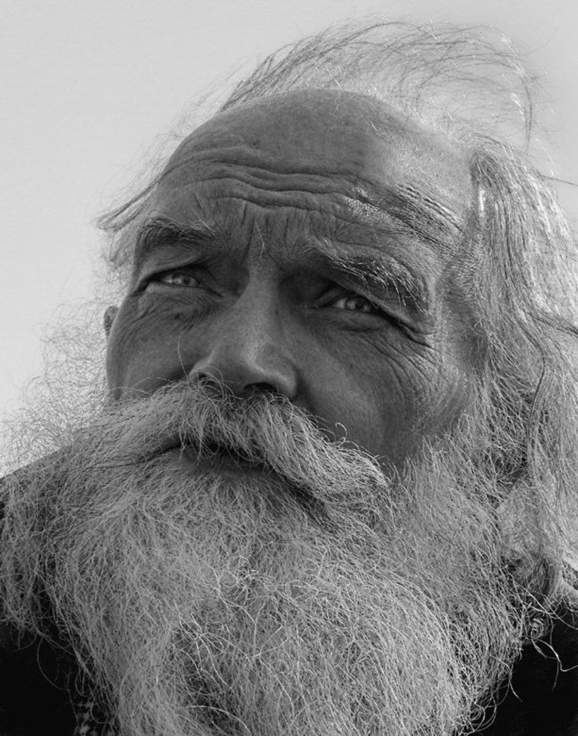 димитрий, художник, wizzard