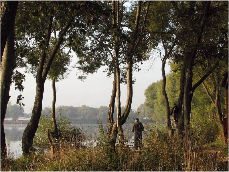 пруд, рыбалка, утро На рыбалкеphoto preview