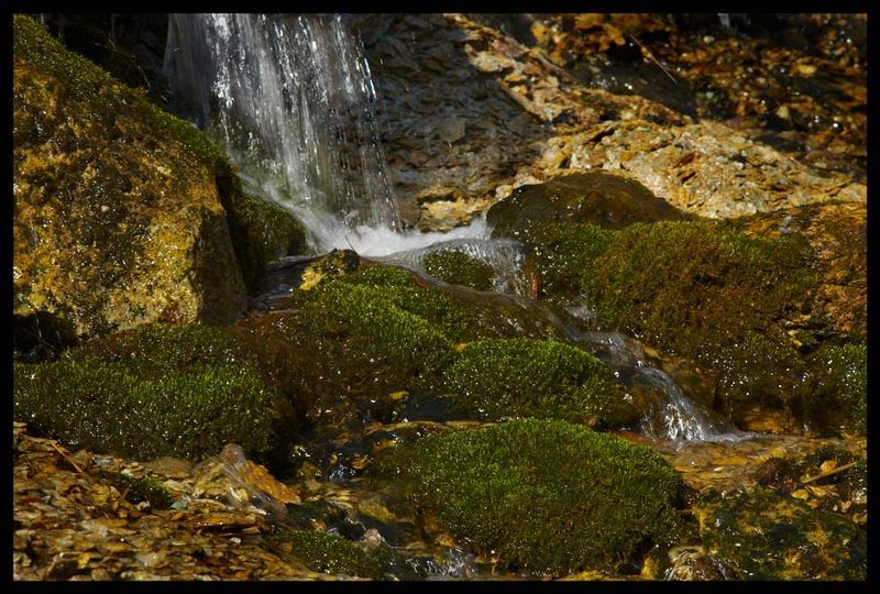 микромирphoto preview