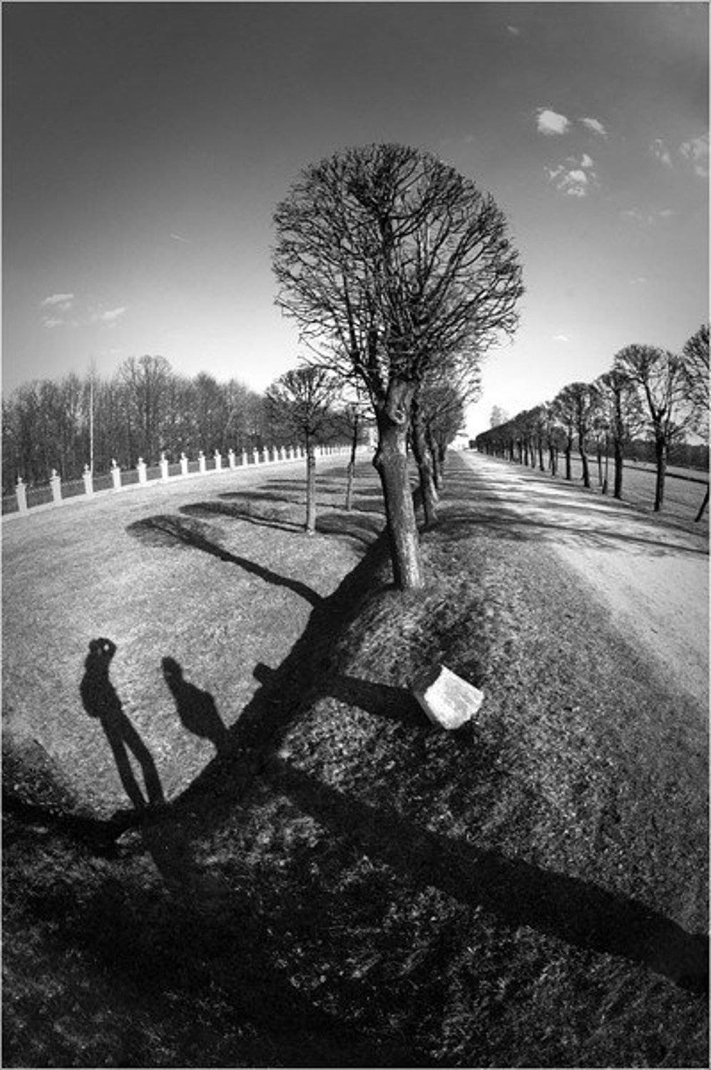 Праведников колбасит как негатив на свету. Автор: Алексей и Оксана Самсоновы кусково, пеленг 8мм, Алексей и Оксана Самсоновы