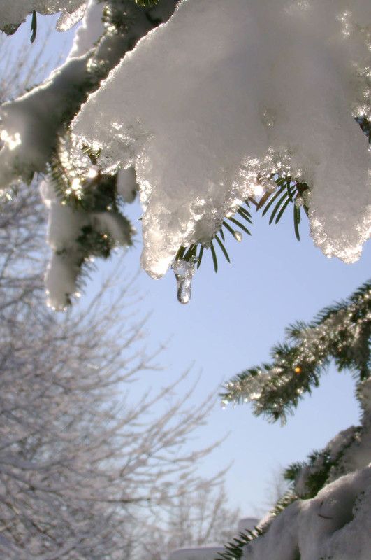 снег 10 апреляphoto preview