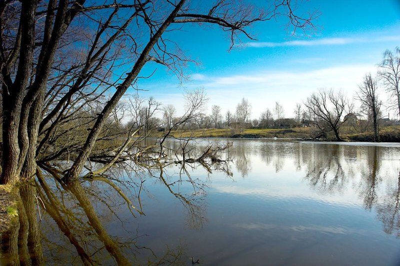 Барский прудphoto preview