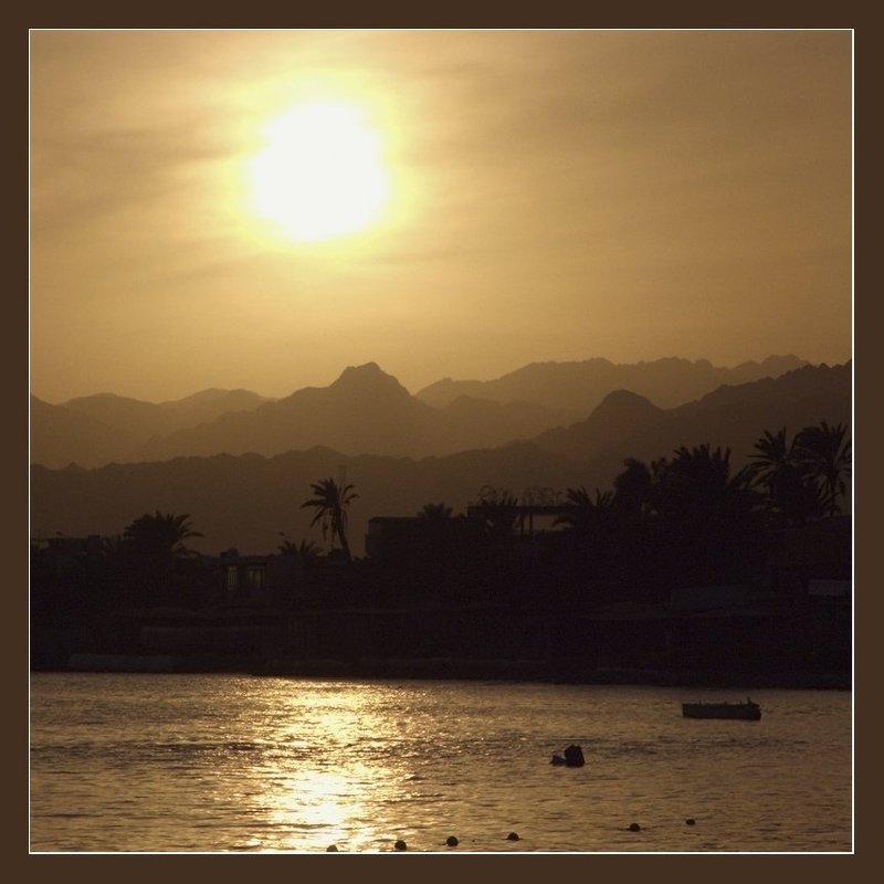 Предновогодняяphoto preview