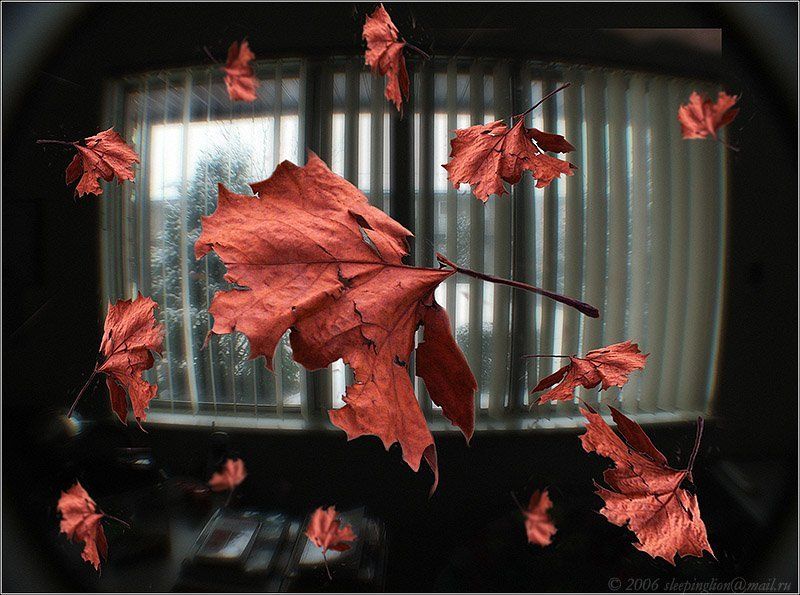 а за окном падал снег... Медленное падение фото превью