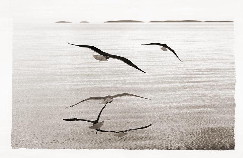 соловки Путь на Соловки...photo preview