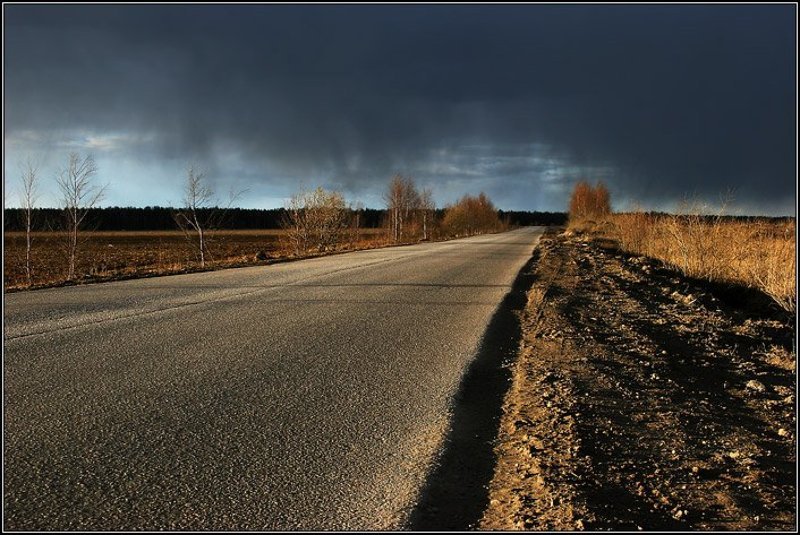 природа, поле, дорога, лес, туча, дождь, солнце, трава, асфальт, dyadyavasya Дорога к дождюphoto preview
