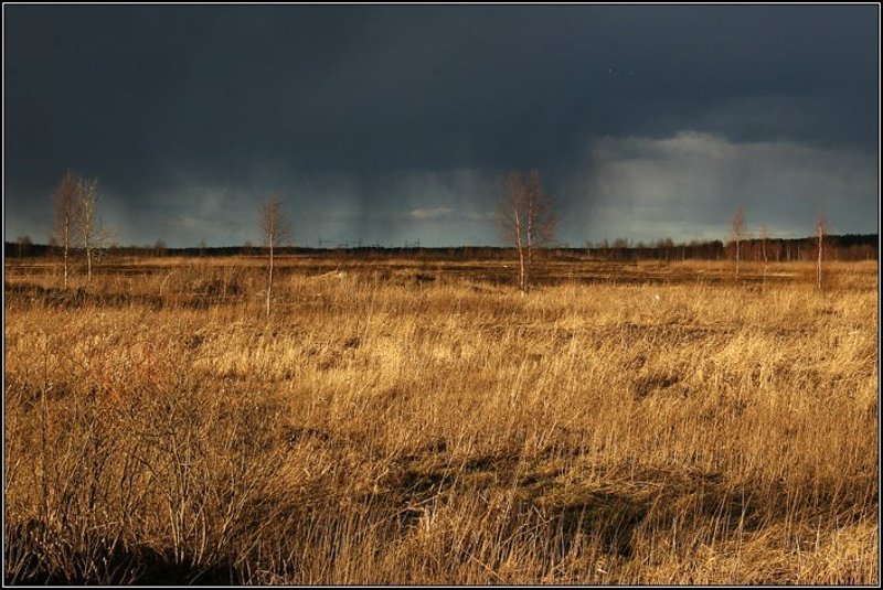 трава, весна, небо, туча, дождь, солнце, вечер, поле, дерево, dyadyavasya Поле и дождь на горизонтеphoto preview