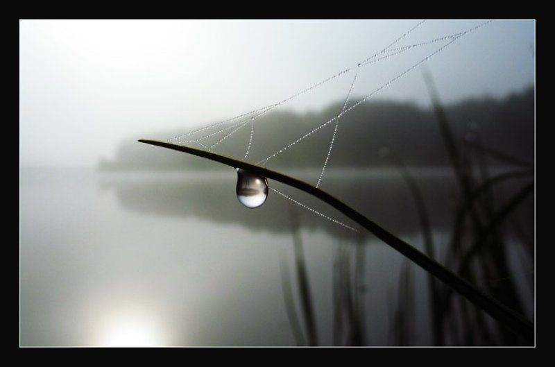 осеннее утро..., света ошметкова , капля, вода Осеннее утроphoto preview