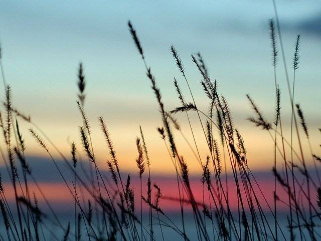 , Александр Шевченко