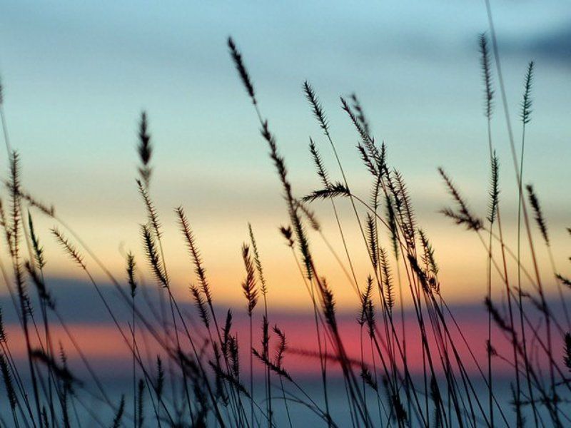 Закатphoto preview